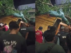 Truk Tabrak Pohon di...