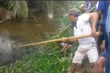Mengerikan! Warga Mamuju...