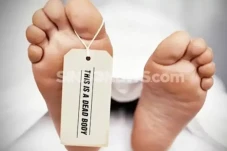 Wanita Muda Tewas Diduga...