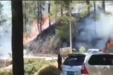 Kobaran Api Melalap...