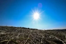BMKG Prediksi El Nino...