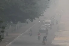 Kepungan Asap Karhutla...