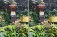 Viral! Bule Meditasi...