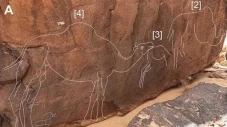 Ukiran Unta Misterius...