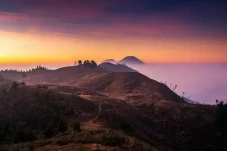6 Flora dan Fauna yang...