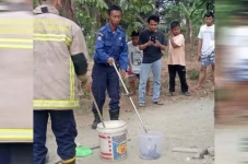 Ngeri! Puluhan Ular...