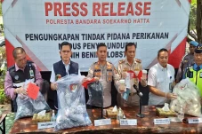 Selundupkan Benih Lobster...