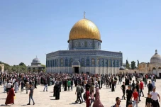 Keberkahan Bumi Palestina...