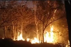 Hutan Wanagama Terbakar,...