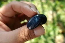 Catat! Ini Perbedaan...