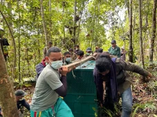 Usai Direhabilitasi,...
