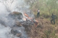 27 Hektare Lahan Hutan...