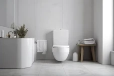 Mana Lebih Sehat, Toilet...