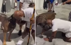 Lihatlah, Mike Tyson...