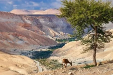 Mengenal Gurun Negev,...