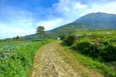 Mengintip Pesona Dusun...