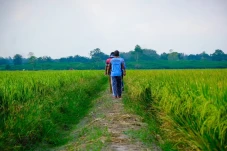 Dukung Ketahanan Pangan...