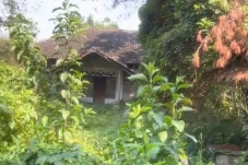 Viral! Wisatawan Pesan...