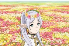 Rating 10 Anime Fall...