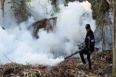 Lingkungannya Difogging,...