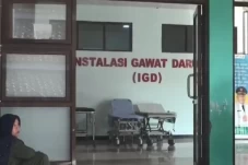 Korban Miras Pesta Pernikahan...