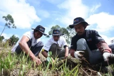 BRI Peduli Grow & Green...
