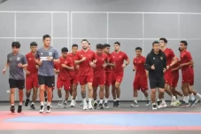 Panik, Media Vietnam...