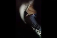 Viral Video 54 Detik...