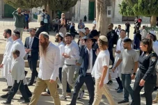 Hilonim, Yahudi Mayoritas:...