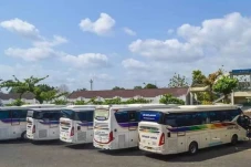 5 PO Bus yang Melayani...