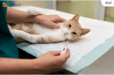 Tidak Boleh Sembarangan!...
