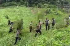 Wow! Ada Ladang Ganja...