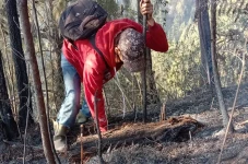 Kebakaran Lahan di Gunung...