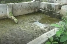 Limbah RPH Diduga Mencemari...