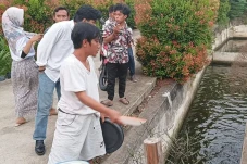 Peluang Bisnis, Relawan...