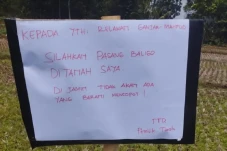 Demi Ganjar, Warga Ramai-ramai...