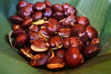 Ini Bahaya Makan Jengkol,...