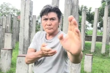 Profil Willy Dozan,...