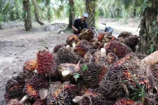 Komitmen YIDH Dukung...