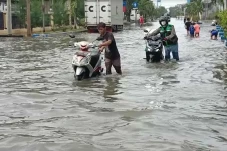 Pelajaran Penting dari...