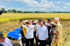 Soal Kritik Anies, Dewan...