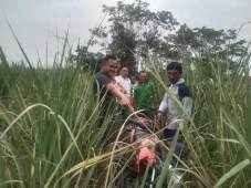 Motor Curian Ditemukan...