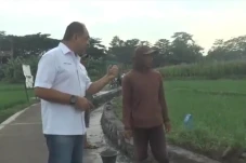 Bagikan 50 Ton Pupuk...
