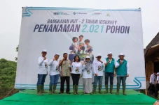 Sinergi BUMN, Perhutani...