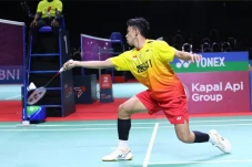Yohanes Saut Marcellyno...