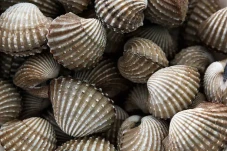 Ilmuwan Temukan Resep...
