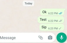 Cara Agar WA Centang...