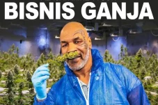 Kapan Mike Tyson Memulai...