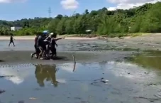 Tolong Rekan Tak Bisa...