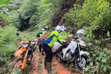 Polisi Melewati Sarang...